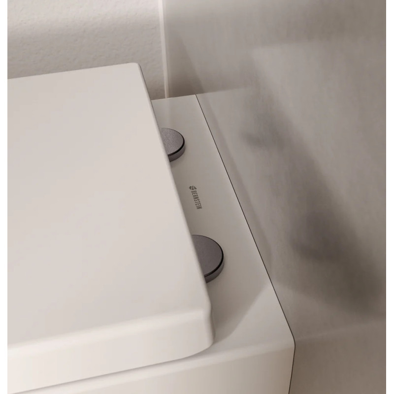 Bernstein Vireo 171037 podwieszana miska WC Rimless z deską Soft-Close