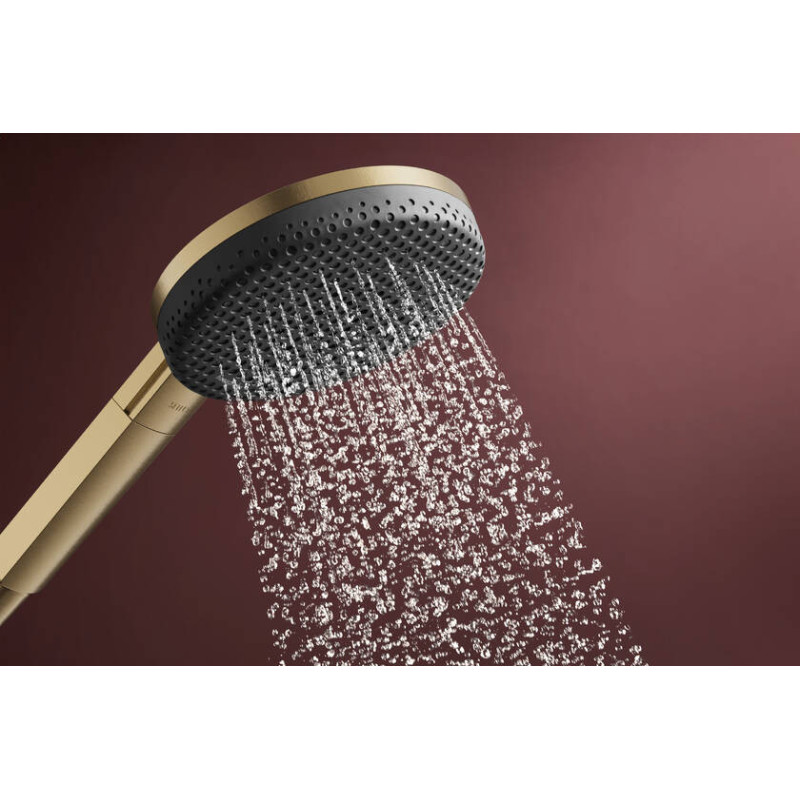 Hansgrohe Raindance Alive Select S 24500140 główka prysznicowa 125 3je