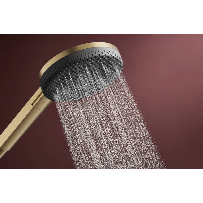 Hansgrohe Raindance Alive Select S 24500140 główka prysznicowa 125 3je