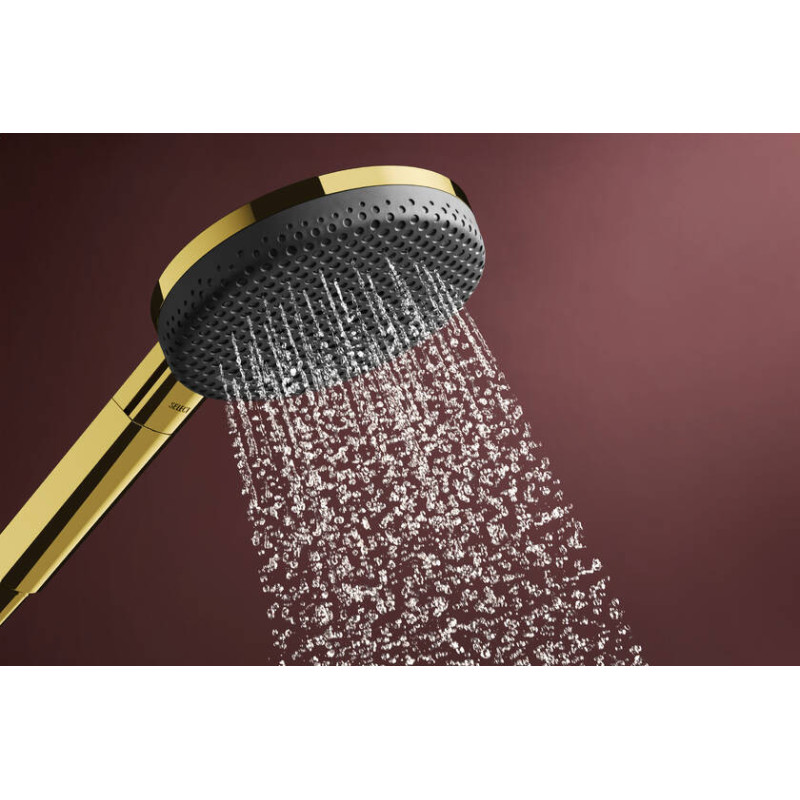 Hansgrohe Raindance Alive Select S 24500990 główka prysznicowa 125 3je
