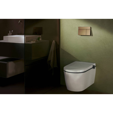 Hansgrohe LavaPura Element S 63021450 miska WC z funkcją bidetu biała